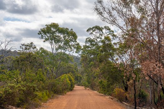 Avon Valley National Park former railway track leading through nature close to Perth West Australia