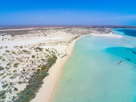 Breading ground of reef sharks close to Coral Bay along the Ningaloo Reef