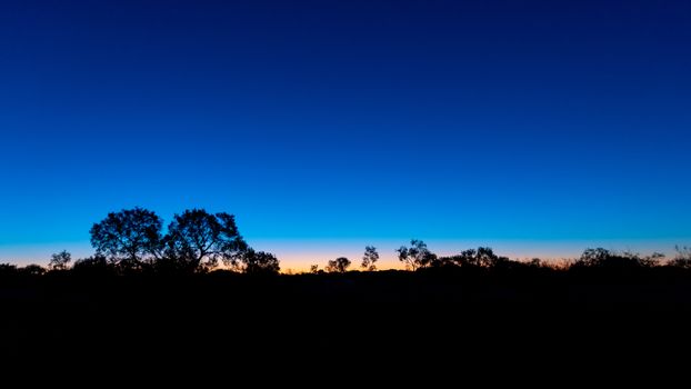 Silhouette of Australian Outback in front against a late evening sky