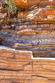 Streak of natural asbestos in rock layers in Dales Gorge at Karijini National park Australia