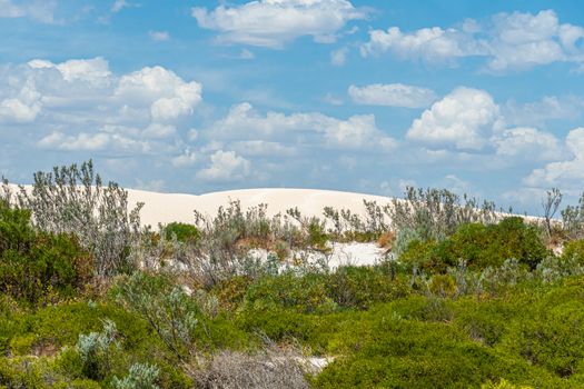 The Pinnacles Desert white sand dunes in west Australian landscape