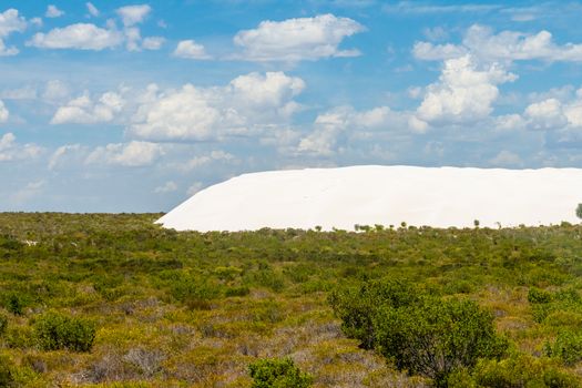 The Pinnacles Desert white sand dunes in between green landscape in west Australia