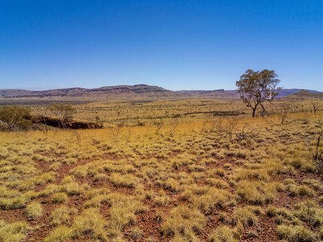 Yellow dry landscape seen from Mount Bruce at Karijini National Park Australia