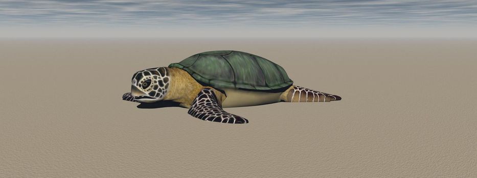 turtle in the ocean - 3d rendering