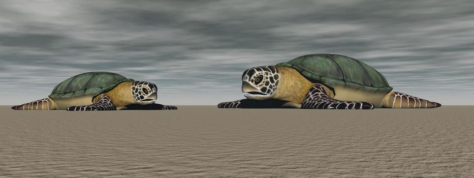 turtle in the ocean - 3d rendering