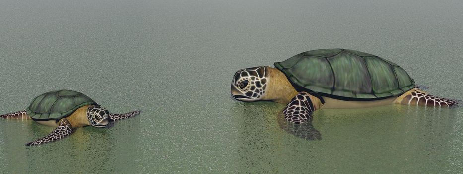 turtle in the ocean - 3d rendering