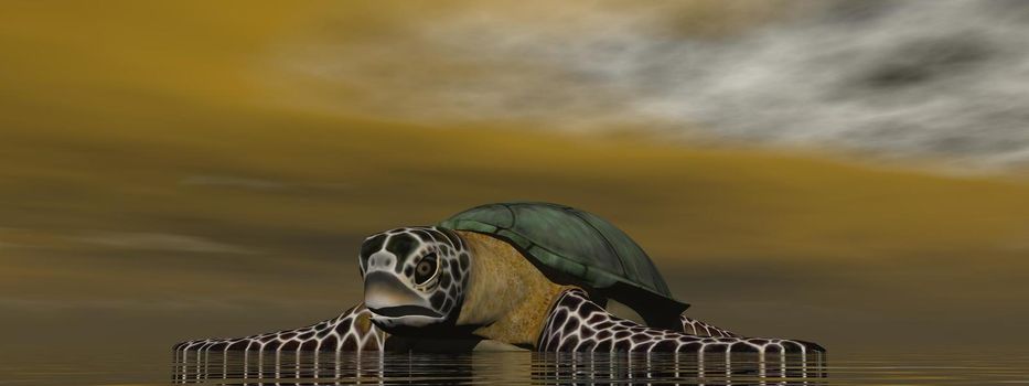 turtle in the ocean - 3d rendering