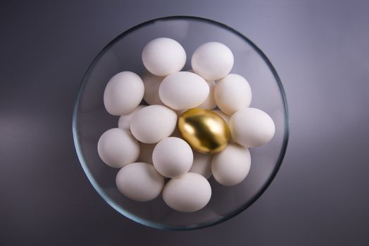 one gold egg lays among common white eggs