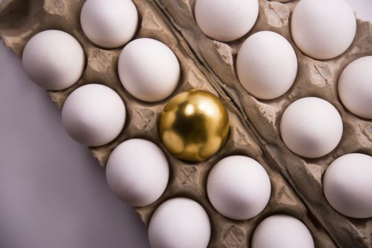 one gold egg lays among common white eggs