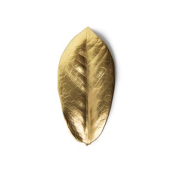 Gold leaf on white background. Decorative element