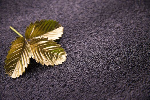 Gold leaf on dark background. Design element