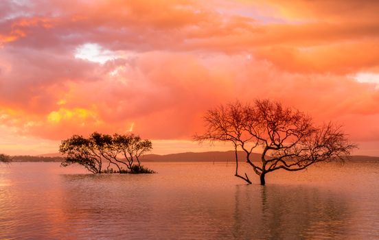 Red sunset and storm clouds over mangrove in the shallows and mountains in the far distance.
