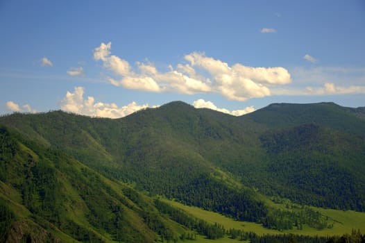 Picturesque hills overgrown with grass, forming a valley. Altai, Siberia, Russia