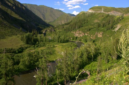 A picturesque valley and a beautiful river flowing through it surrounded by mountains. Altai, Siberia, Russia.