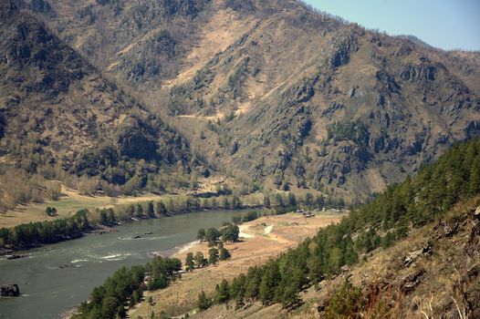 A stormy river flowing through a valley. Katun, Altai, Siberia, Russia