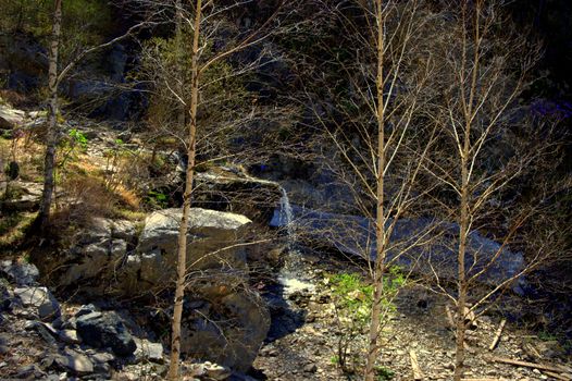 View through tree trunks of a small waterfall in the mountains. Altai, Siberia, Russia.