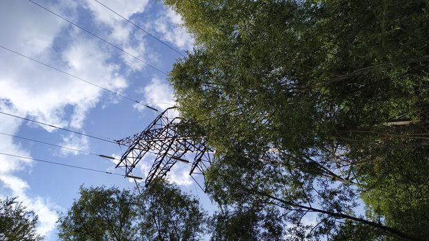 High metal pole of a power line, view through the crowns of trees.