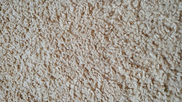 Fragment of natural wool beige. Background, texture