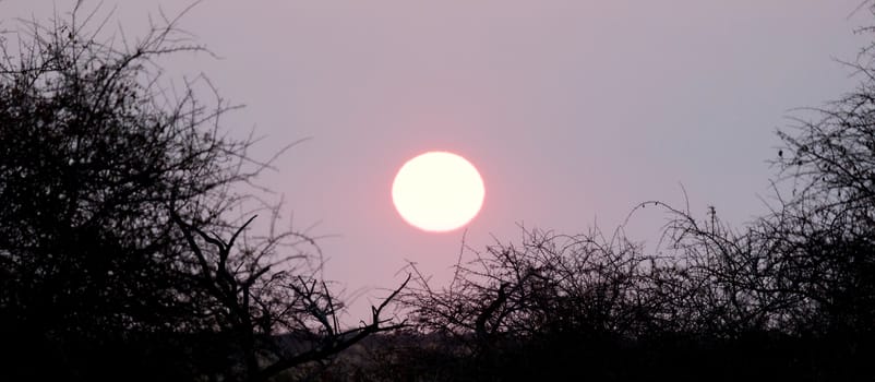 Pink sunset in the Makgadikgadi pans, Botswana