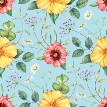 Seamless pattern with wildflowers: red and yellow poppy, chamomile and herbs. Hand drawn watercolor illustration for fabric, wrapping, wallpapers and other designs. Floral botanical print on blue