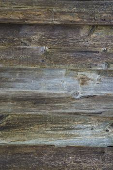 old, grunge wood panels used as background