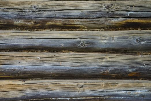 old, grunge wood panels used as background