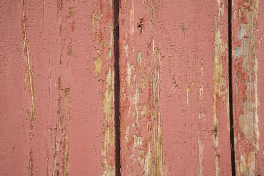 old, grunge wood panels used as background