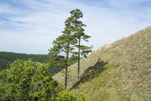 Strelnaya Mountain. Attraction of the Samara region. On a Sunny summer day