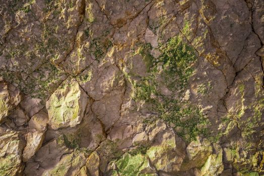 Multi-colored natural stone texture. Abstract background