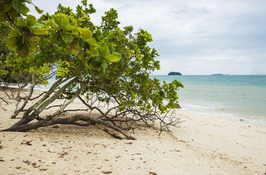 Rang Yai island beach Thailand. Day 18 December 2018.