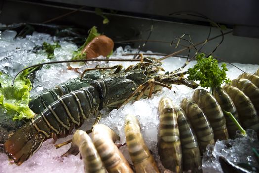 Fresh shrimp and Lobster lying on the ice.