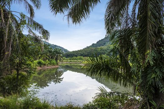 The landscape of the island of Phuket Thailand. Day 15 December 2018.