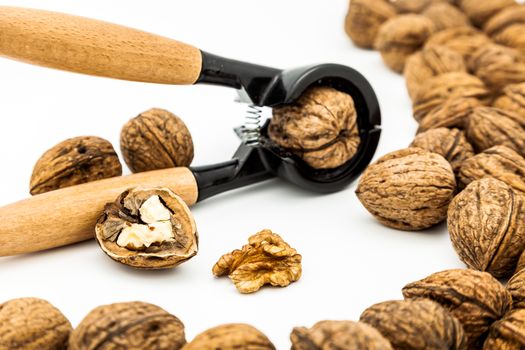 A composition of walnuts, cracked walnuts and a nutcraker