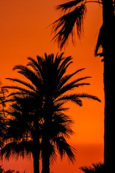 Fantastic sunset near of the beach of Camposoto on San Fernando, Cadiz, Spain