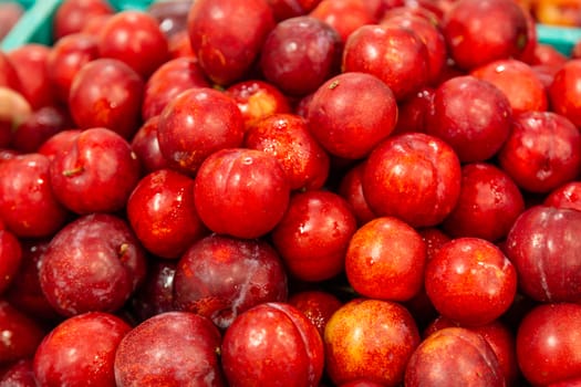 Box of fresh red plums, closeup