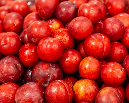 Box of fresh red plums, closeup