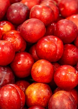 Box of fresh red plums, closeup