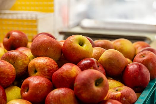 Fresh red and yellow apples at market