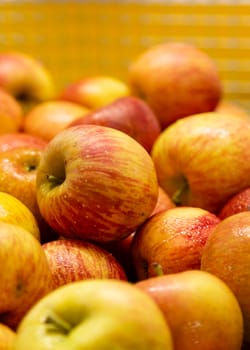 Fresh red and yellow apples at market