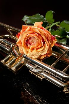 Rose and trumpet on a glass studio background