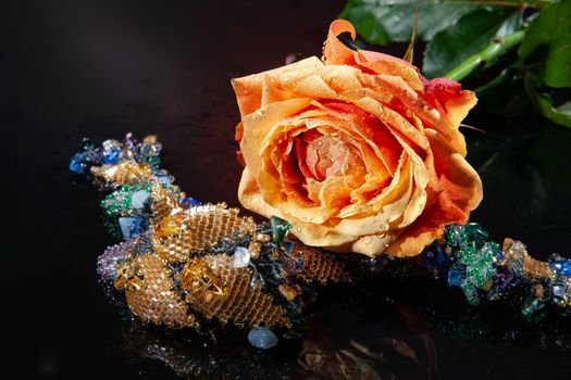 Rose with water drops on studio abckground