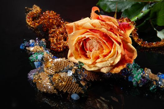 Rose with water drops on studio abckground