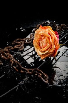 Rose, chain and barbed wire on a glass background