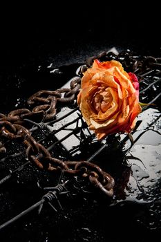 Rose, chain and barbed wire on a glass background