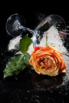 Rose and glass on a glass studio background