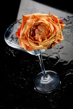 Rose and glass on a glass studio background