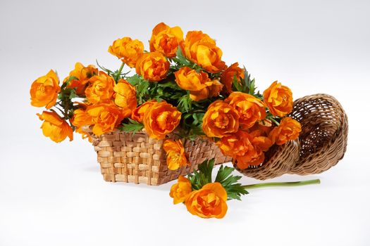 Bouquet with flowers on a studio background