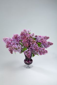Bouquet with flowers on a studio background