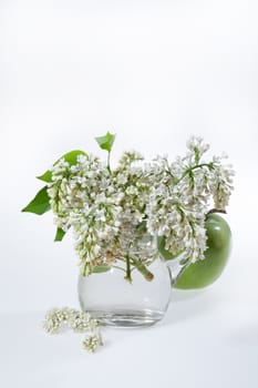 Bouquet with flowers on a studio background