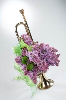 Bouquet with flowers on a studio background